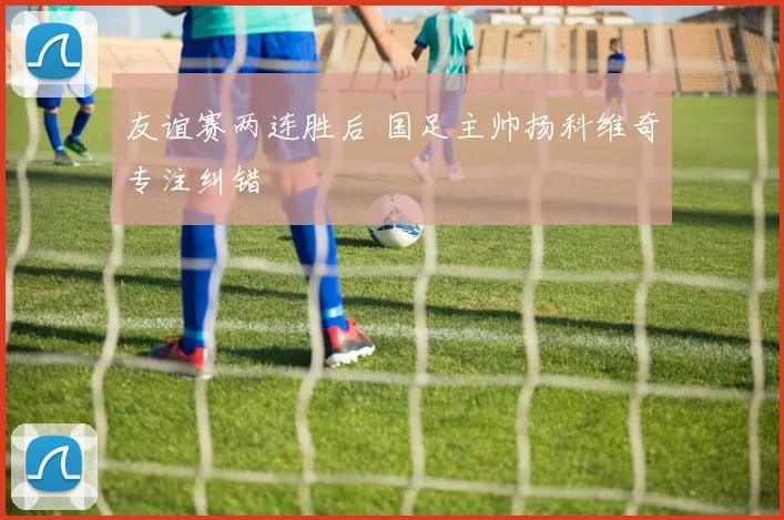 友谊赛两连胜后 国足主帅扬科维奇专注纠错
