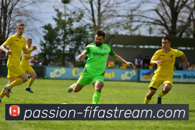 多媒体互动体验